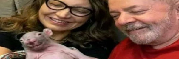 Luisengeek Profile Banner