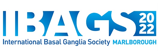 IBAGS2022 banner
