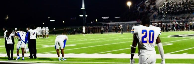 🏝️D-MILL🏝️ banner