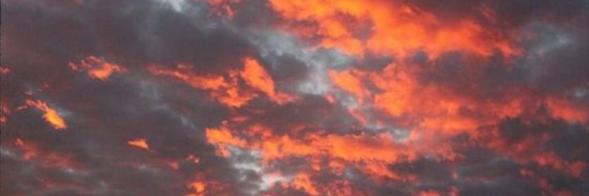Rafaamaral00's profile banner image