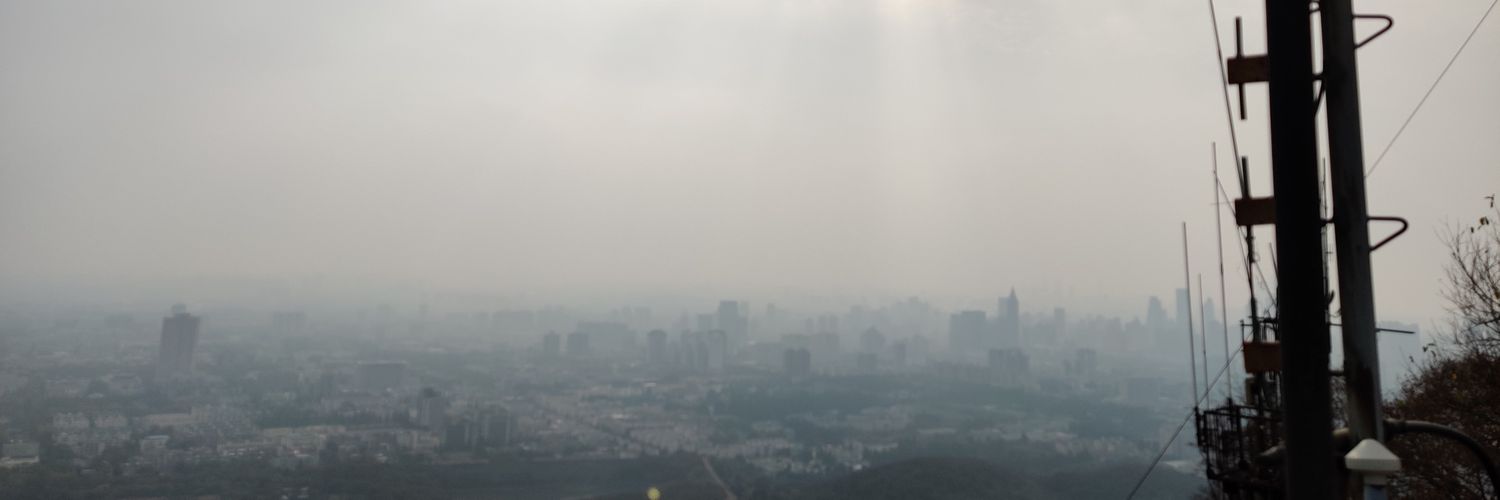 🍃困困鲨鱼 banner