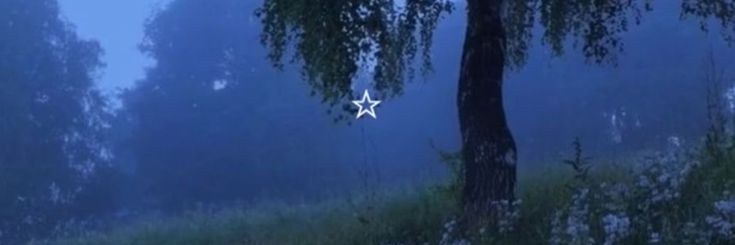 TruaAc's profile banner image