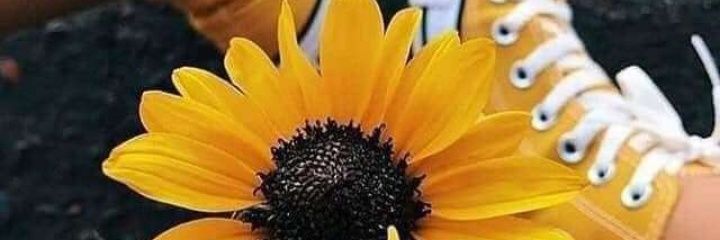 𝙰𝚗𝚒𝚝𝚊🌻 banner
