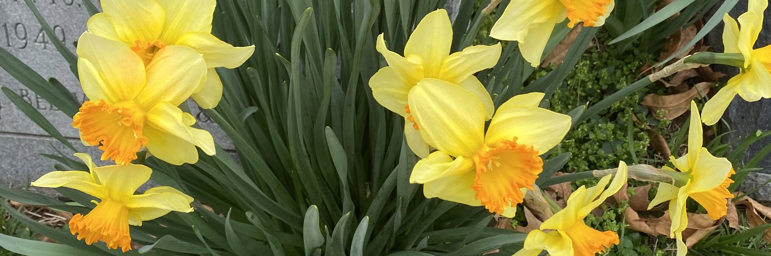 jill_bowker's profile banner image