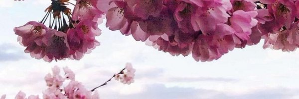 fis Profile Banner