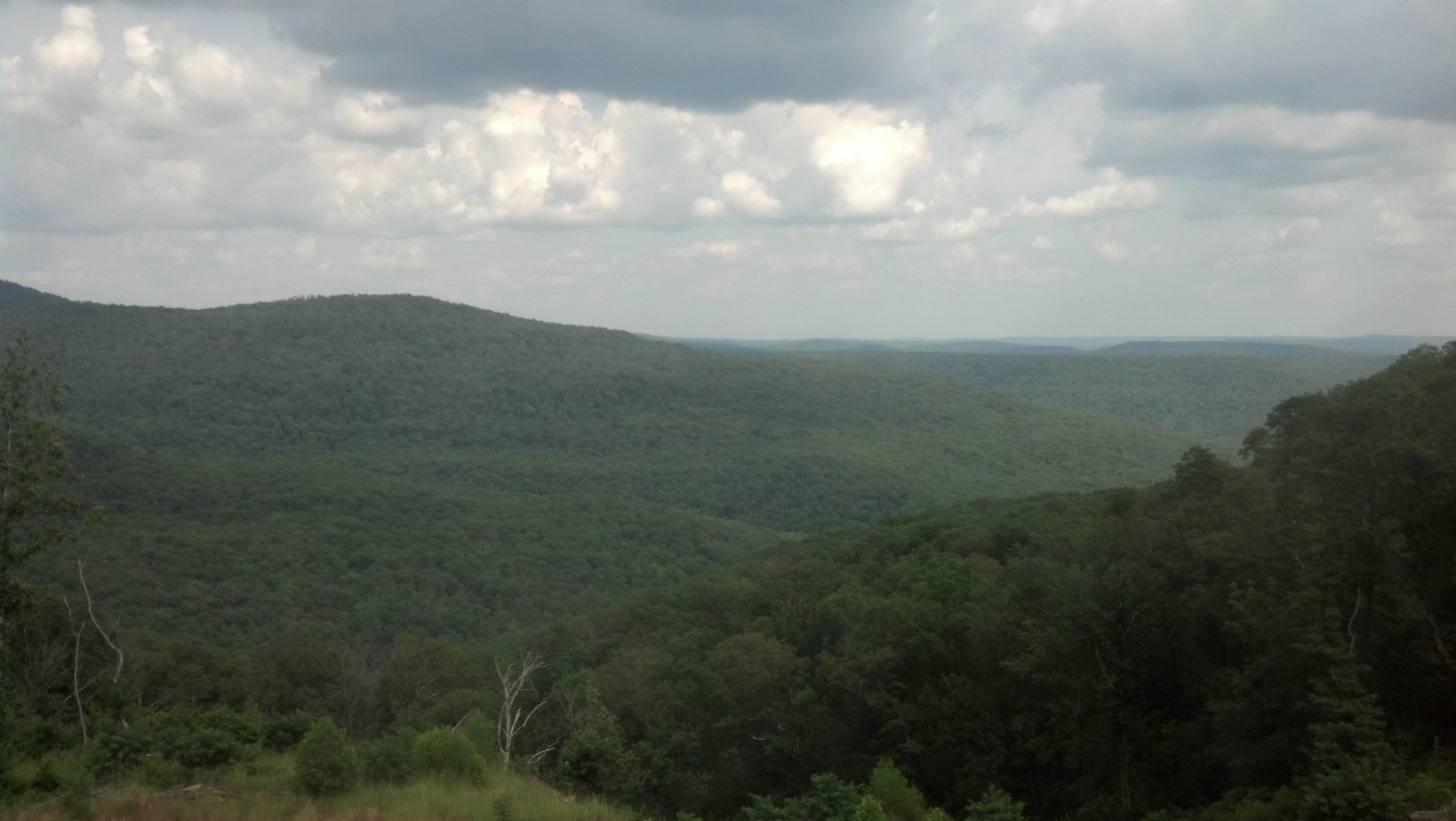 The_Trex69's profile banner image
