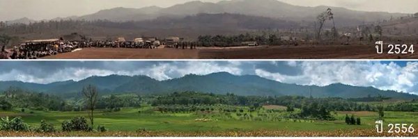 huang_huixian Profile Banner