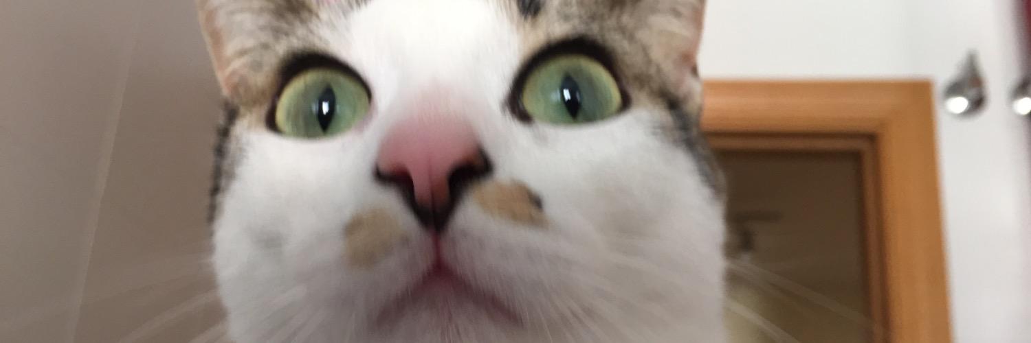 Nekensito's profile banner image