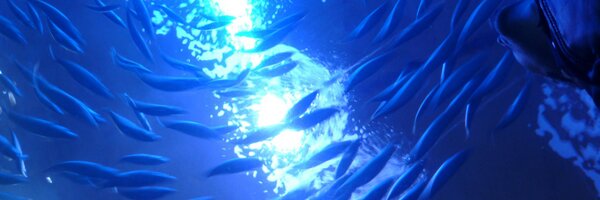 jpwisler Profile Banner