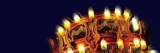 puipuni's profile banner image