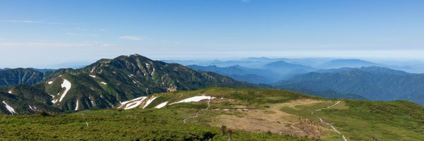 tracye_ Profile Banner