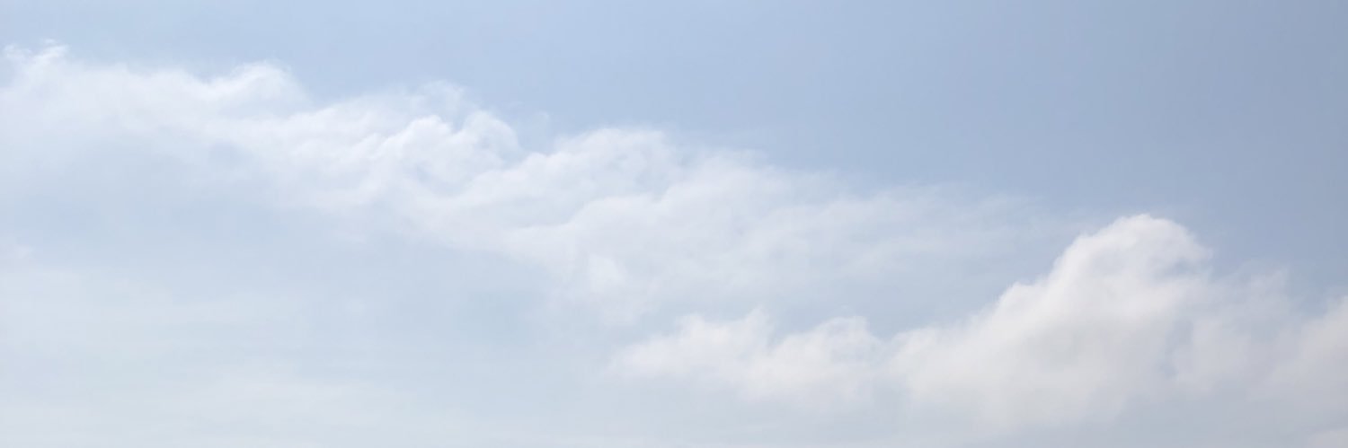 flaviolbraga's profile banner image