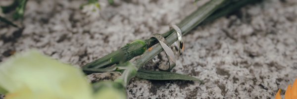 amemorimizu2 Profile Banner