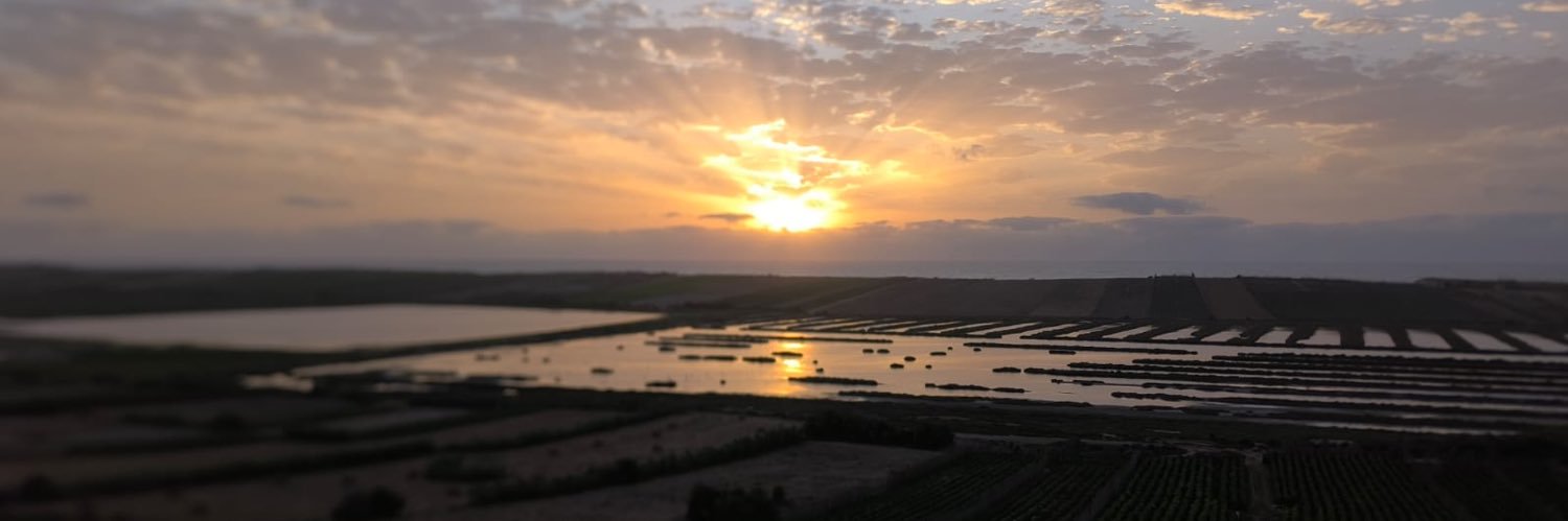 The Notorious Trader banner