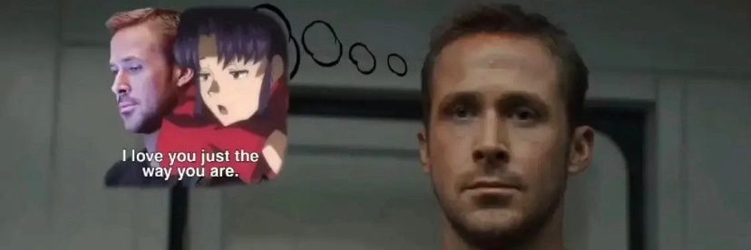 Senel in Magdeburg banner