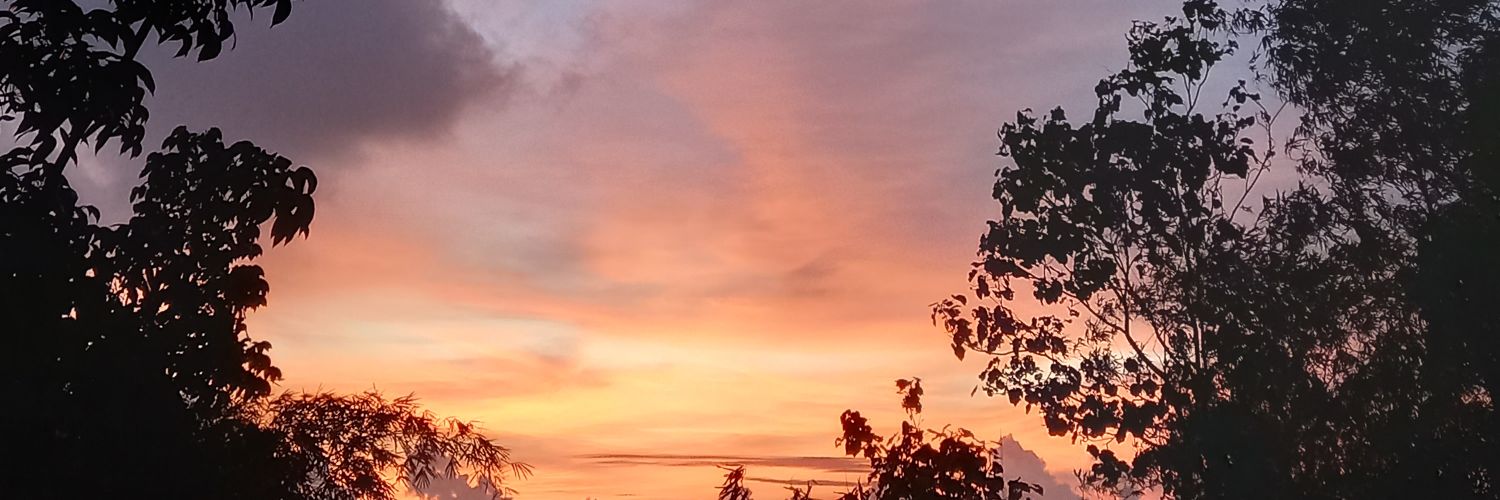 piinkflow's profile banner image