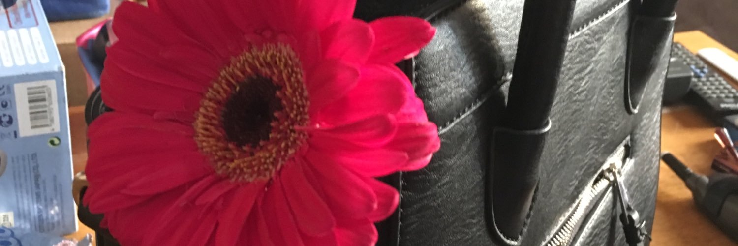 Val_calvo's profile banner image