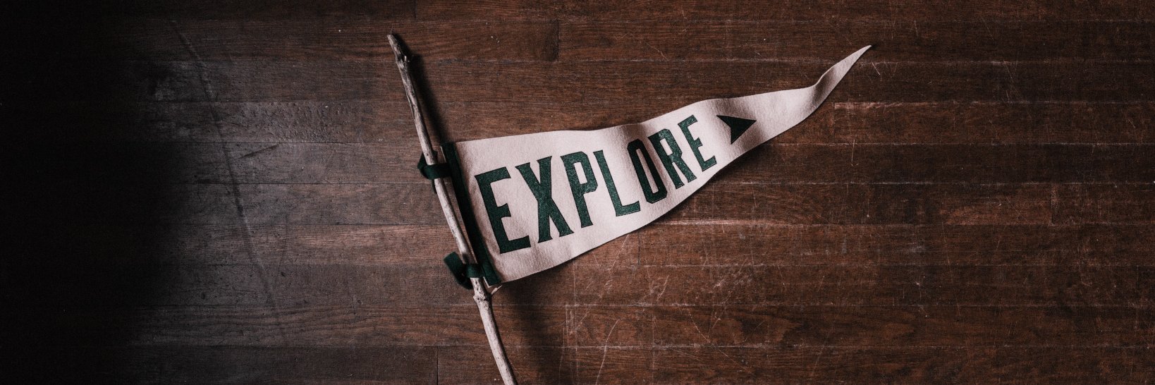 Joachim Schmidt banner