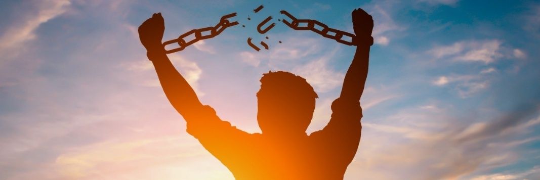 ₿-Free⚡ ⛓️ 1190 banner