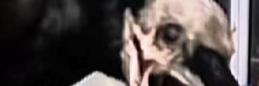 Мэри 🧃 banner