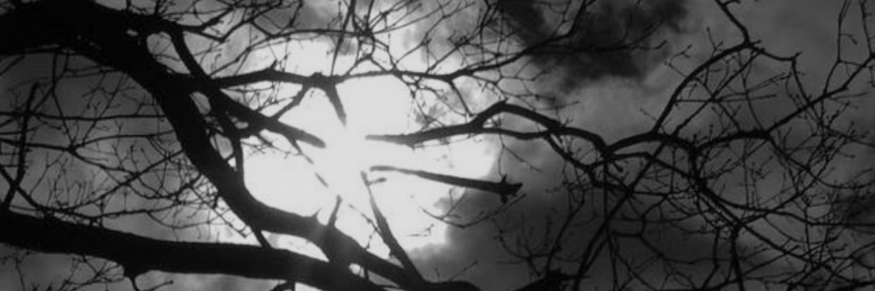 no770088's profile banner image
