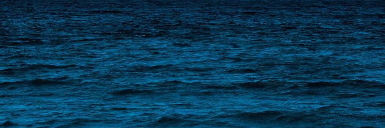 🪁 banner