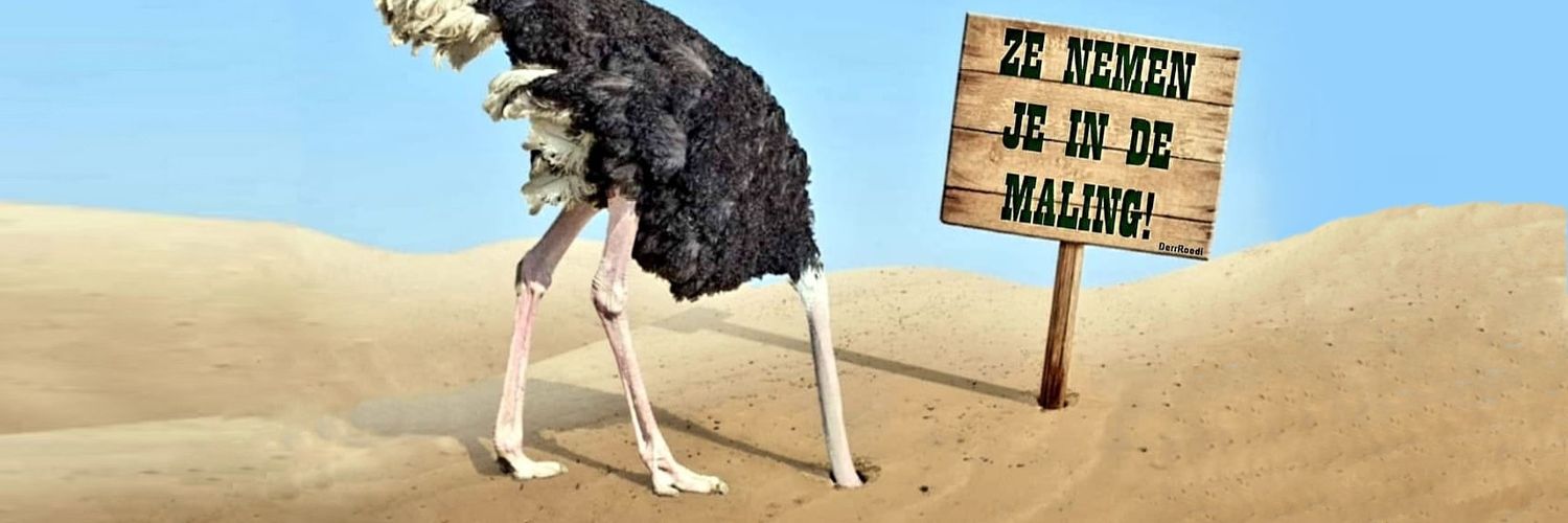 Rudy La Maitre banner