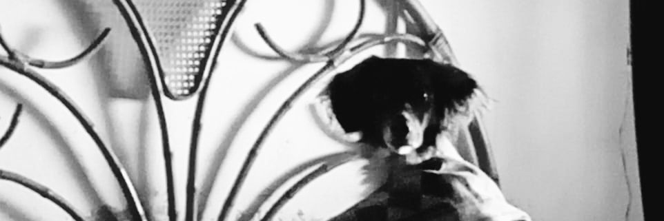 dany896's profile banner image