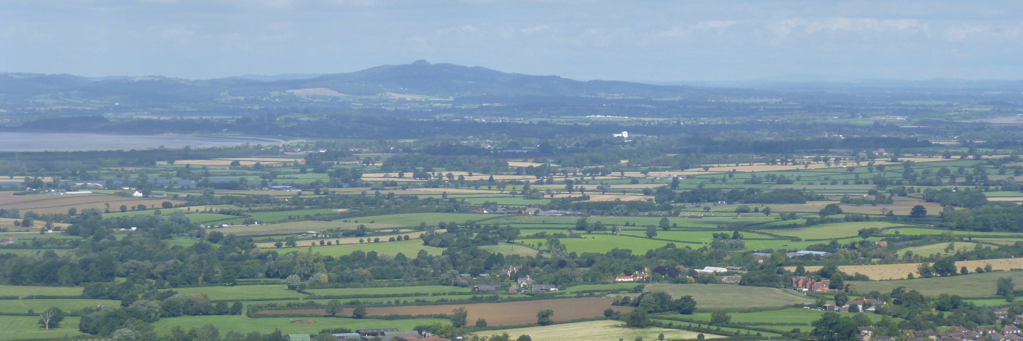 garne banner