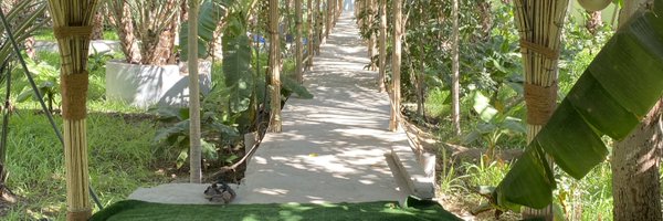 DrAlmatani Profile Banner