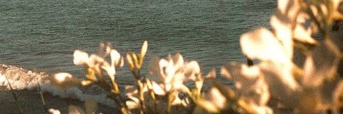 devill006's profile banner image