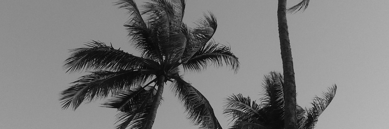 Mitafaf's profile banner image