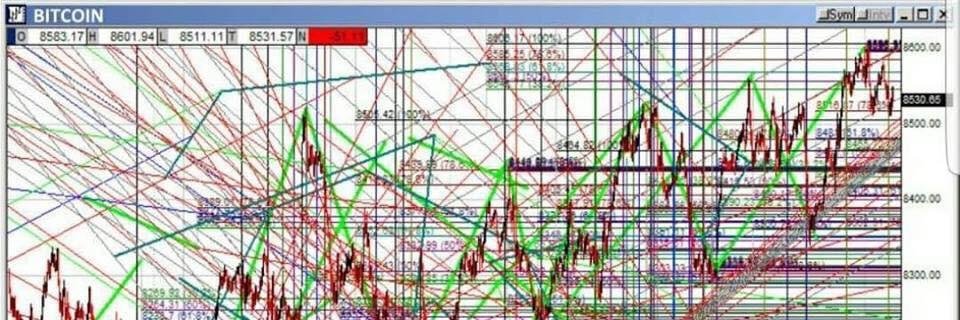 Yoon-Ah Bahmer banner