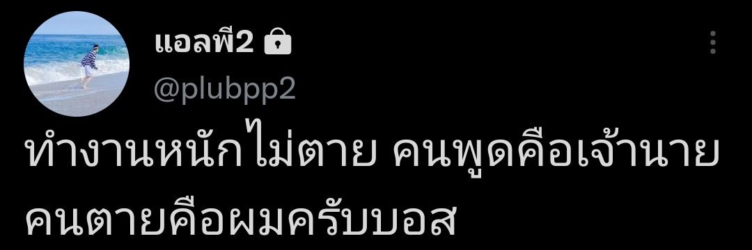 แอลพี2 banner