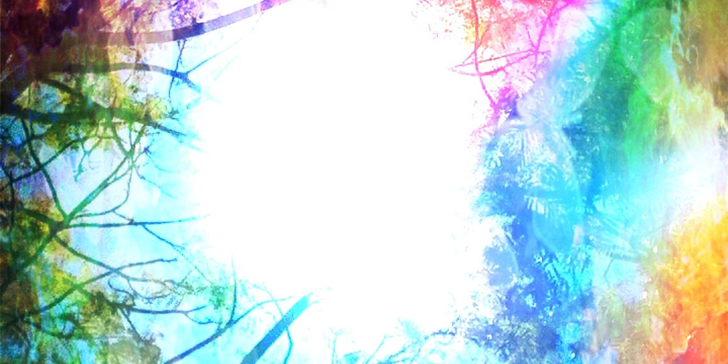 madisonpaterson's profile banner image