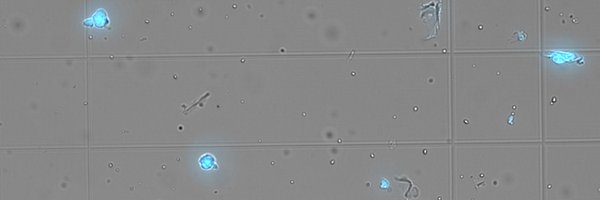 maxrwjones Profile Banner