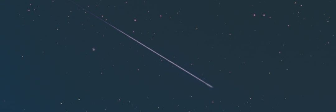 PALSA207's profile banner image