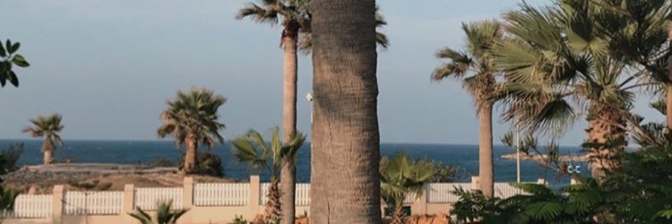 Adek_Mbob's profile banner image