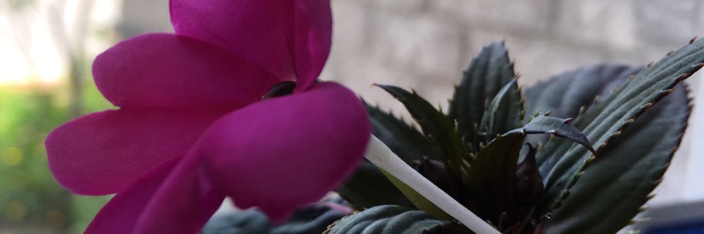 Ms_Madamba's profile banner image