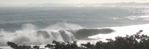 oiwi3000 Profile Banner