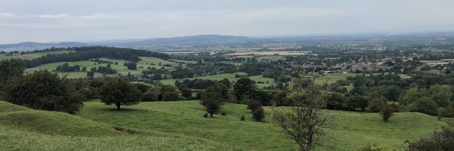 Adam banner