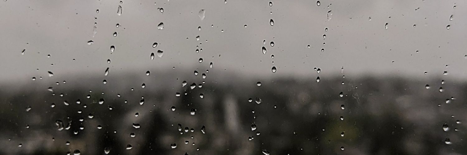 Parham Kazemi (parham_kzm) / Twitter