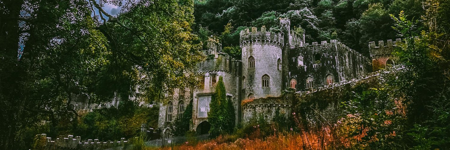 Mind Forge LLC banner