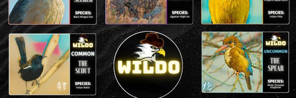 WildoCards Profile Banner