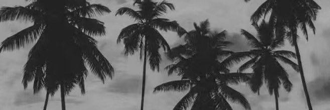 cnt1f's profile banner image