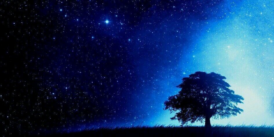Bluemoon0416's profile banner image