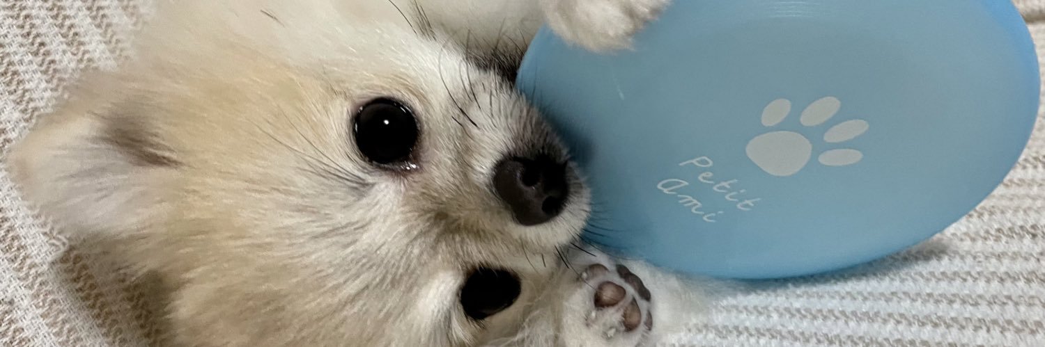 ktnkn0605's profile banner image