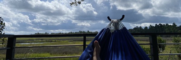 CathyIconis Profile Banner