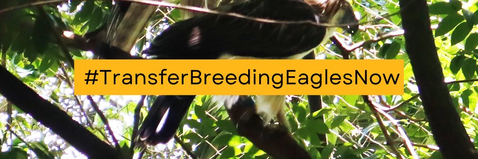 Philippine Eagle Foundation banner