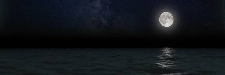 Yayay_20's profile banner image
